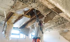 Best Mold Prevention Services in Dunthpe, OR